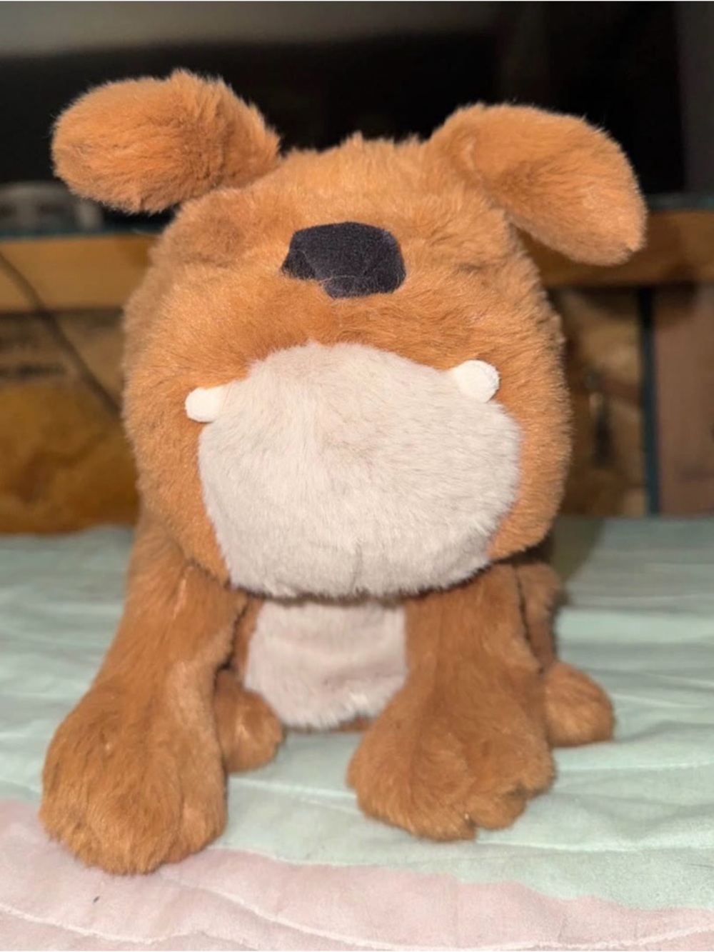 Plush Brown Dog jelly cat - Soft Stuffed Pet Plush